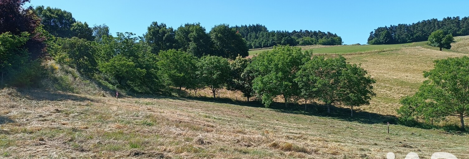 Terrain  2138 m² à vendre à Beauzac (43590)