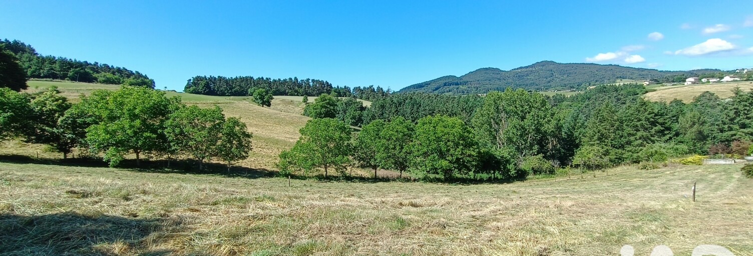 Terrain  801 m² à vendre à Beauzac (43590)