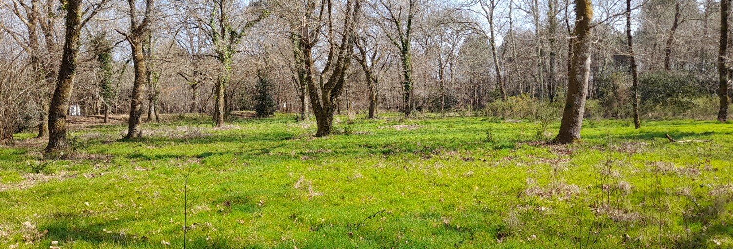 Terrain  20620 m² à vendre à Commensacq (40210)