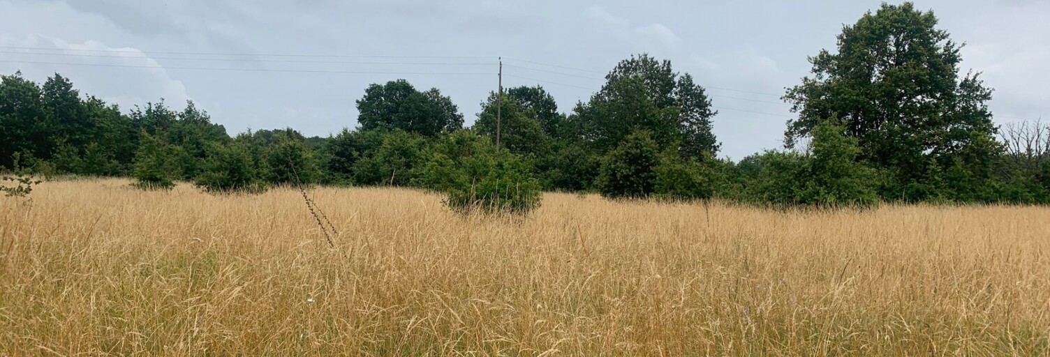 Terrain  24047 m² à vendre à Aubigné-Racan (72800)