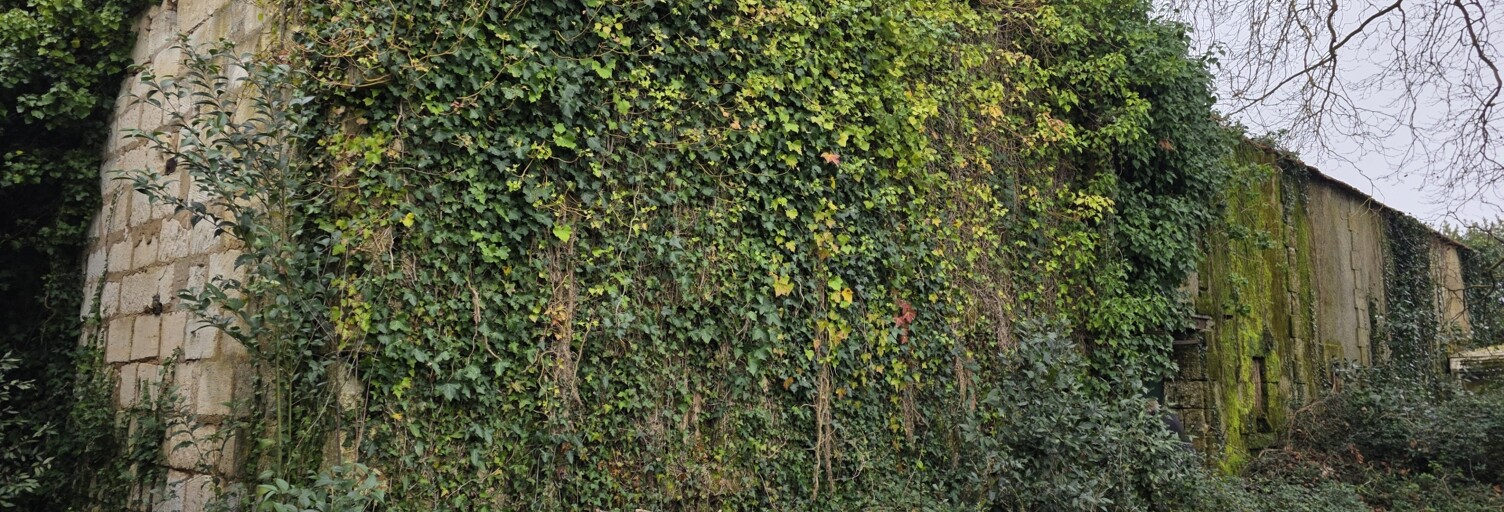 Immeuble  480 m² à vendre à Pauillac (33250)