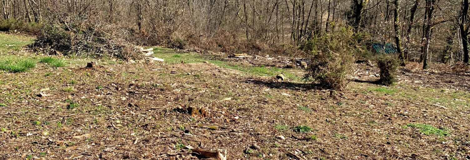 Terrain  1816 m² à vendre à Chancelade (24650)