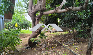 Terrain  339 m² à vendre à Les Avirons (97425)