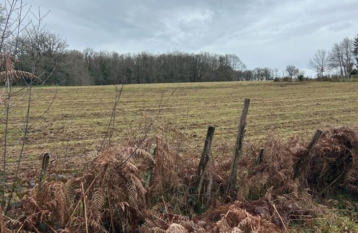Terrain à vendre de 1 000,00 m² SAINT AMAND MAGNAZEIX (87) — photo 5