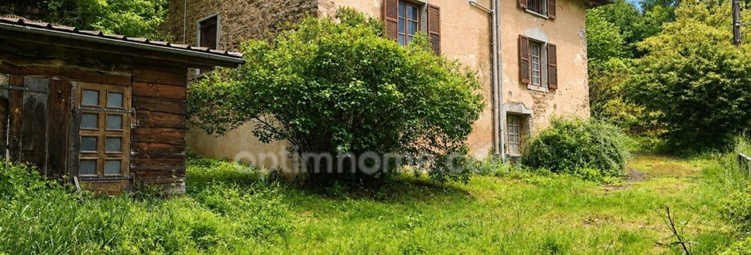 Maison 10 Pièces 180 m² à vendre à Valsonne (69170)