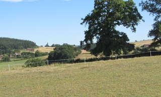 Terrain  17300 m² à vendre à Le Rousset-Marizy (71220)