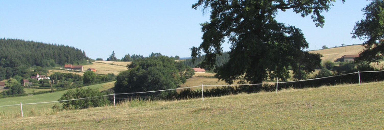 Terrain  17300 m² à vendre à Le Rousset-Marizy (71220)