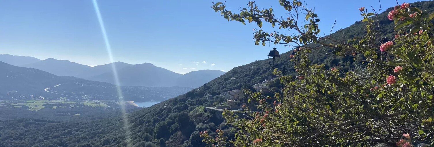 Appartement 3 Pièces 73 m² à vendre à Olmeto (20113)