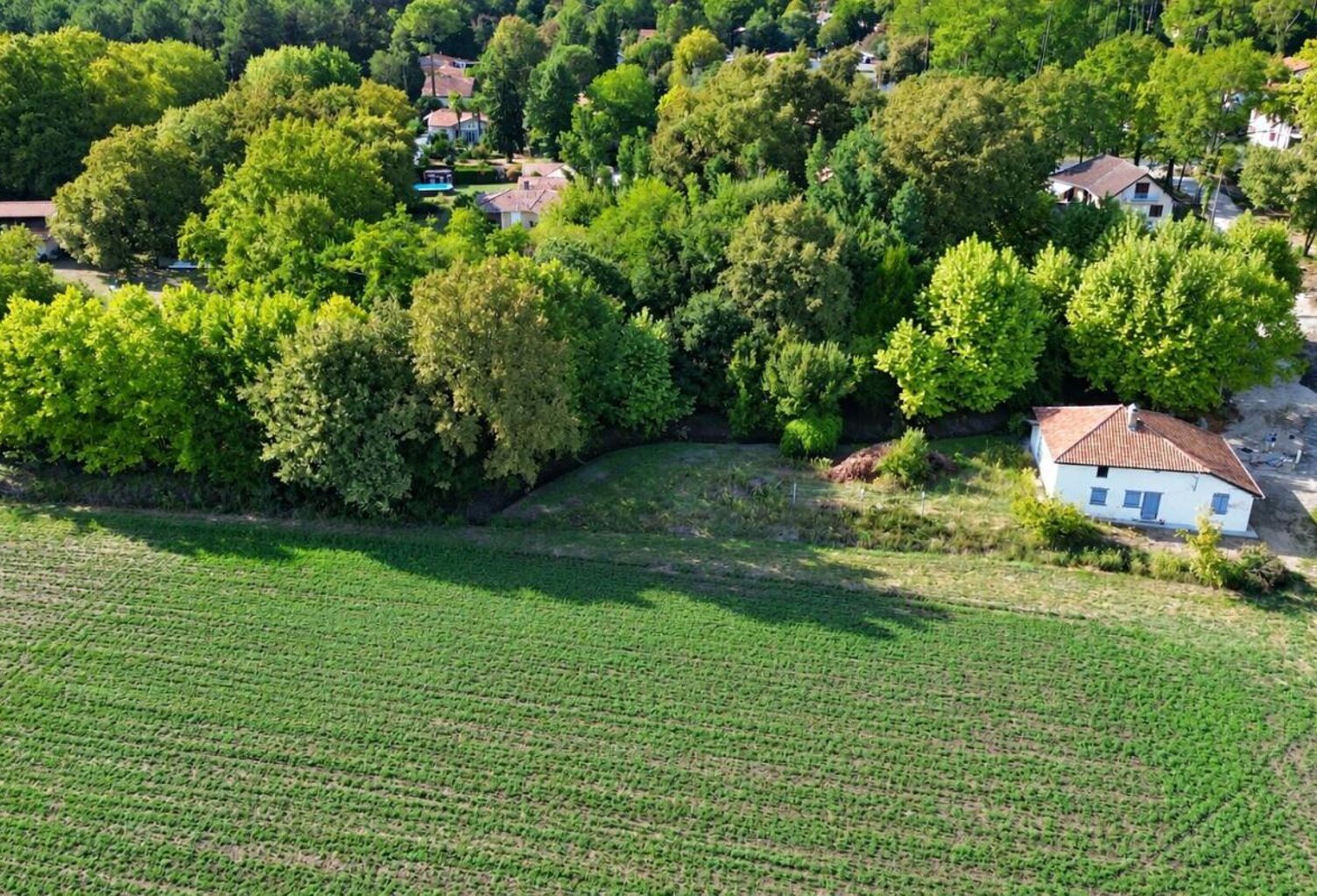 Ancienne ferme du XIXᵉ - vaste terrain avec vue Pyrénées — photo 1