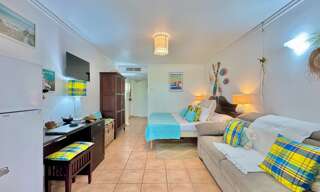 Appartement 1 Pièce 22 m² à vendre à Sainte-Anne (97180)