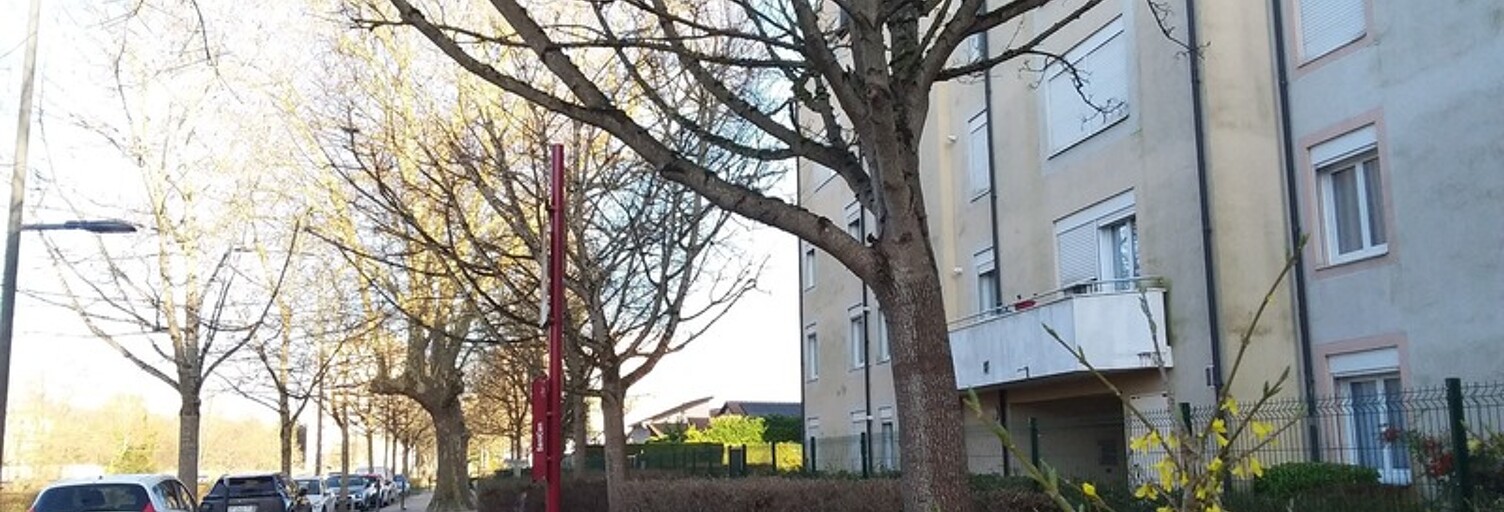 Appartement 3 Pièces 62 m² à vendre à Dijon (21000)