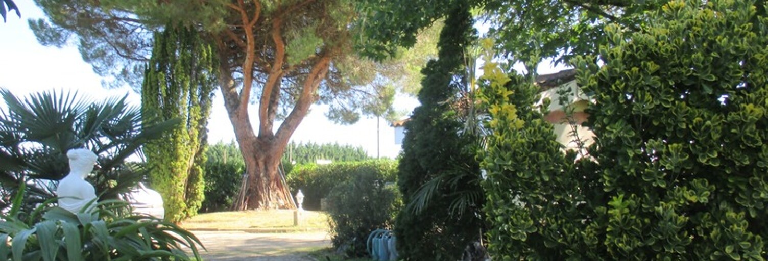 Photo N° 2