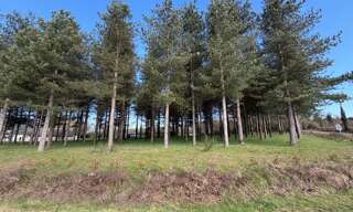 Maison  3000 m² à vendre à Tiercé (49125)