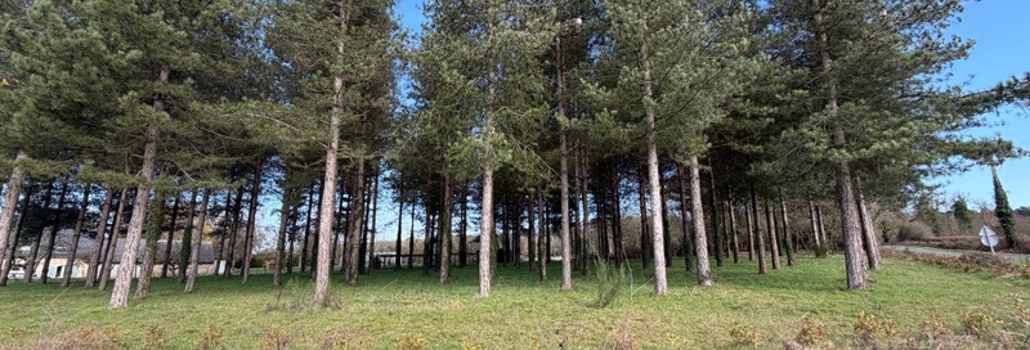 Maison  3000 m² à vendre à Tiercé (49125)