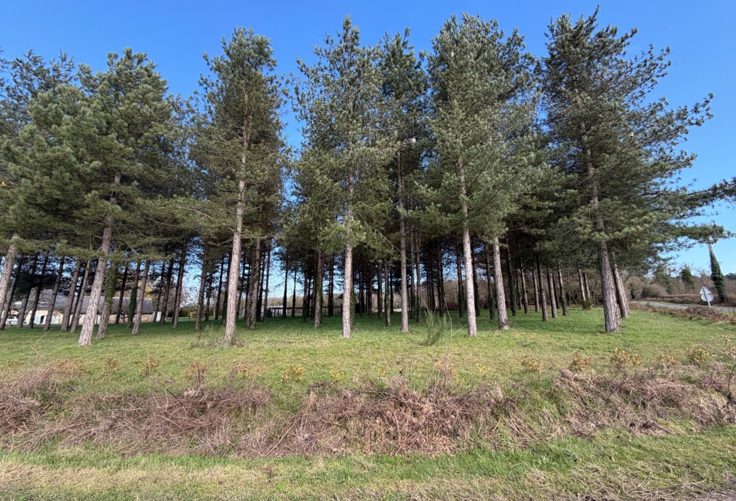 Terrain à vendre de 3 000,00 m² TIERCE (49) — photo 1