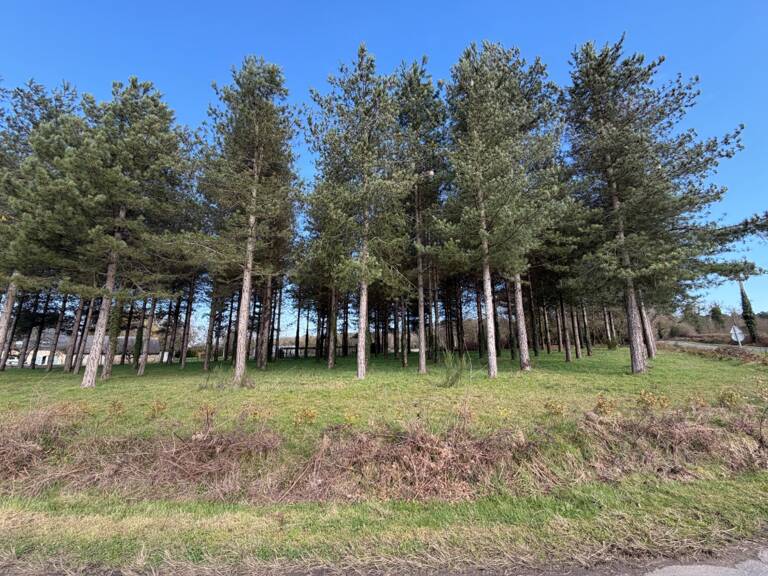 Terrain à vendre de 3 000,00 m² TIERCE (49) — photo 1