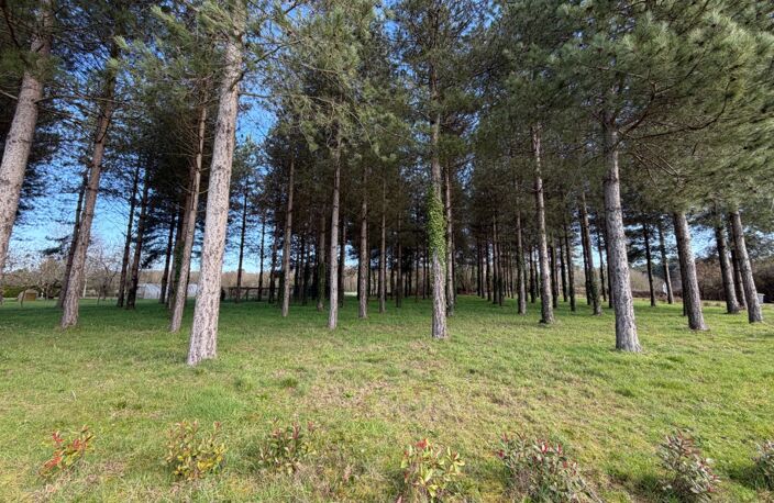 Terrain à vendre de 3 000,00 m² TIERCE (49) — photo 2