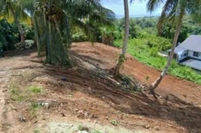Terrain  81000 €