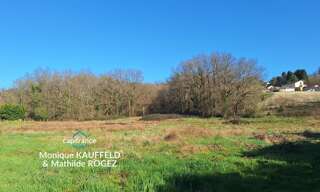 Terrain  10850 m² à vendre à Courpière (63120)