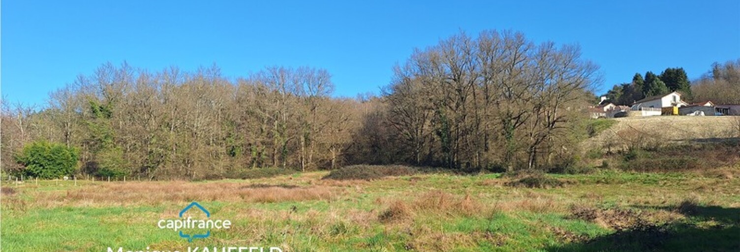 Terrain  10850 m² à vendre à Courpière (63120)