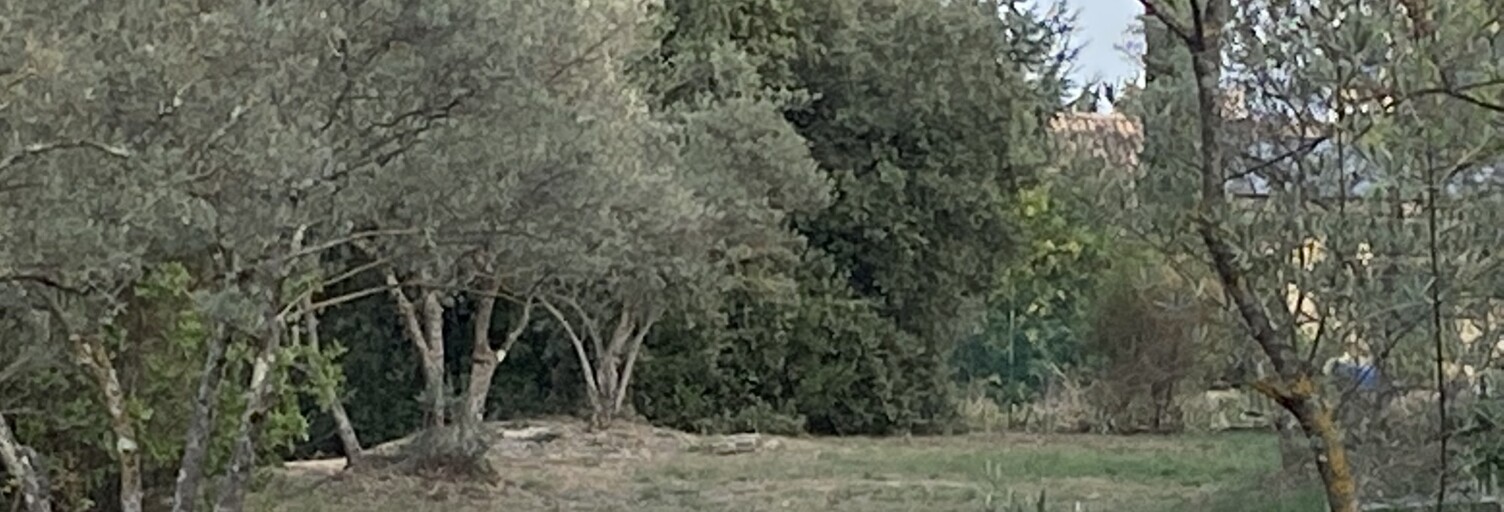 Terrain 800 m² à construire Saint-Maximin-la-Sainte-Baume (83470)