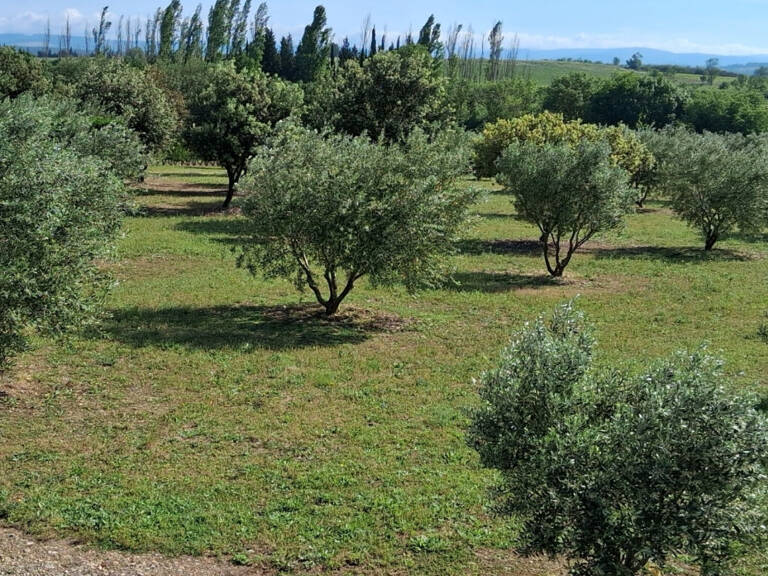 PEZENS , SUPERBE TERRAIN DE LOISIR DE PLUS 11000 m² — photo 1