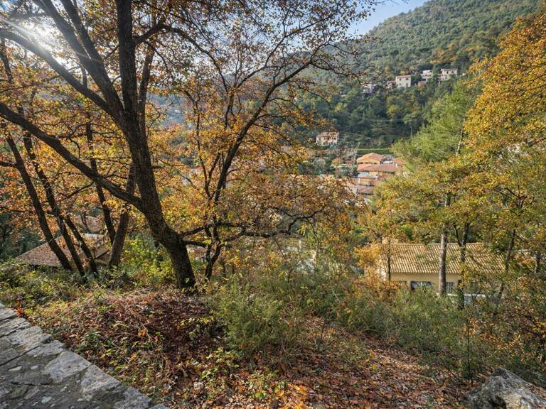 Terrain à bâtir 2 villas, permis accepté Tourrette Levens 1600 m2 — photo 1
