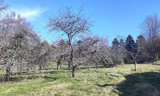 Terrain  2720 m² à vendre à Rougemont-le-Château (90110)