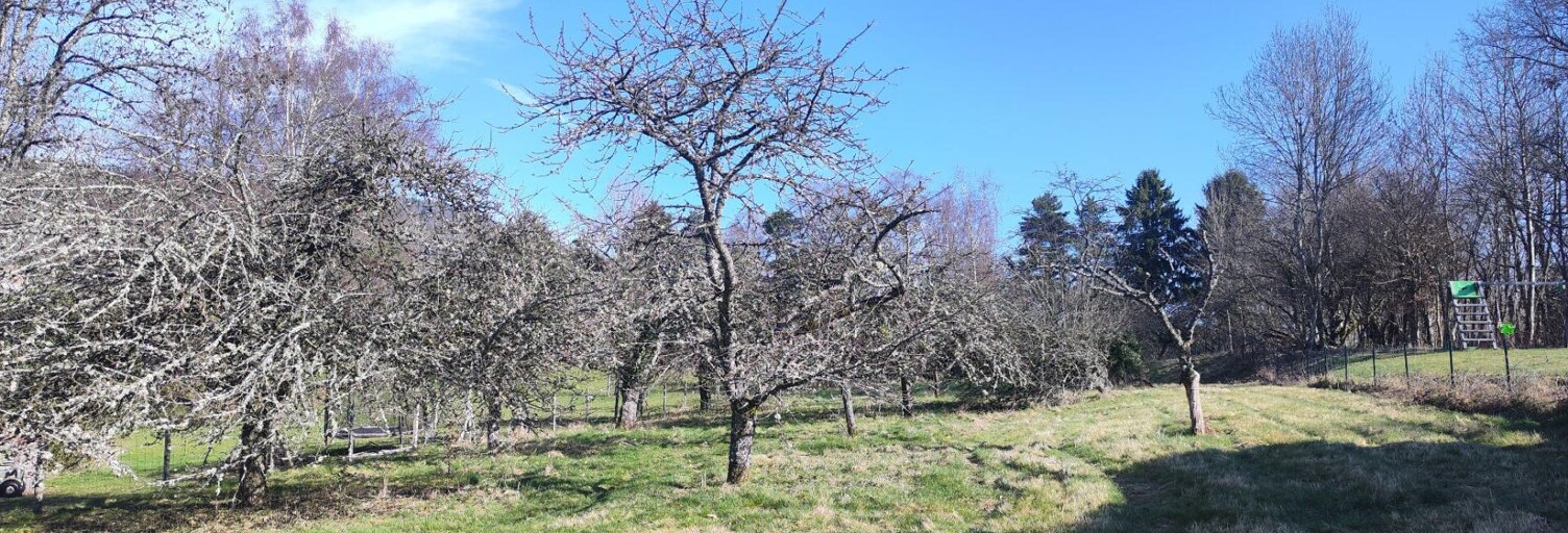 Terrain  2720 m² à vendre à Rougemont-le-Château (90110)