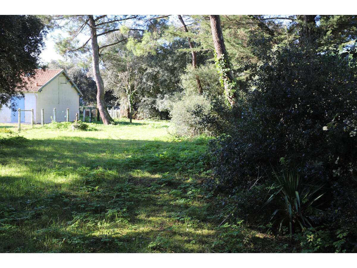 Terrain  à vendre Saint-Georges-d'Oléron 17190