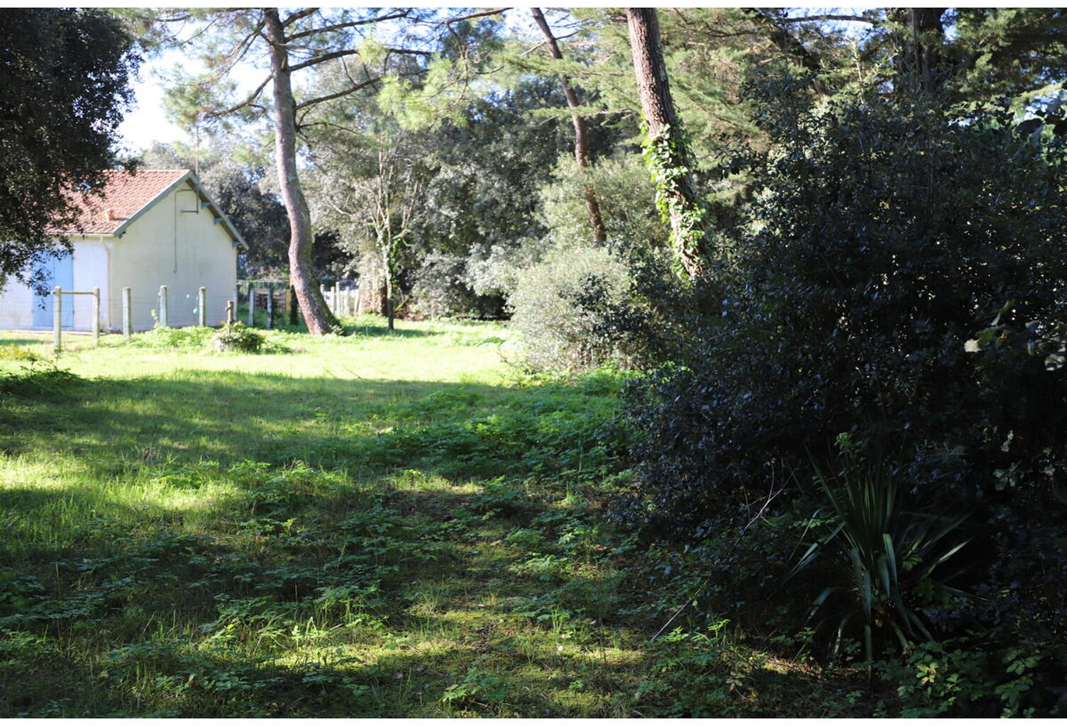 Terrain — photo 1