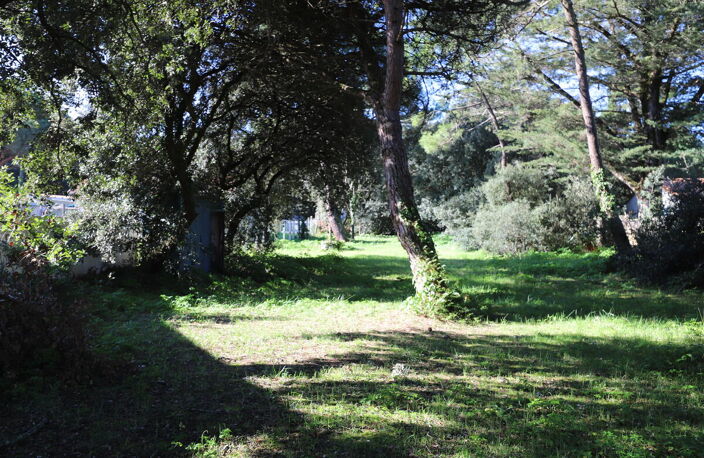 Terrain — photo 2