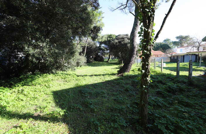 Terrain — photo 3