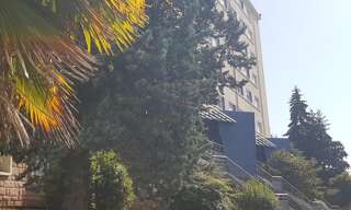 Appartement 1 Pièce 18 m² à vendre à Limoges (87100)