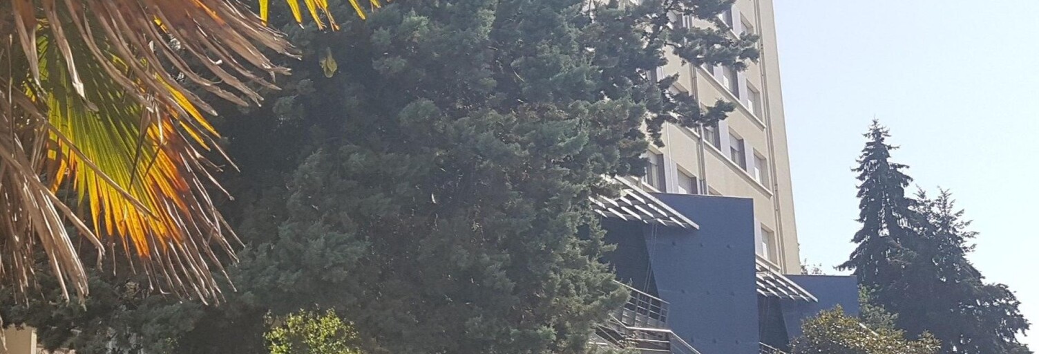 Appartement 1 Pièce 18 m² à vendre à Limoges (87100)