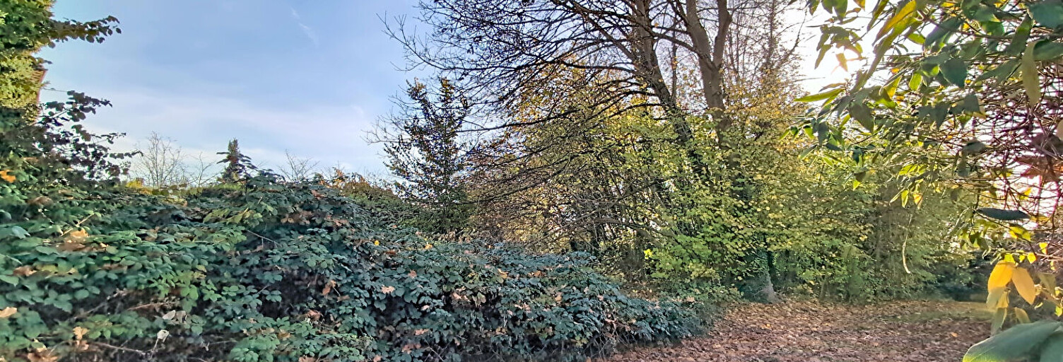 Terrain  761 m² à vendre à Eschau (67114)