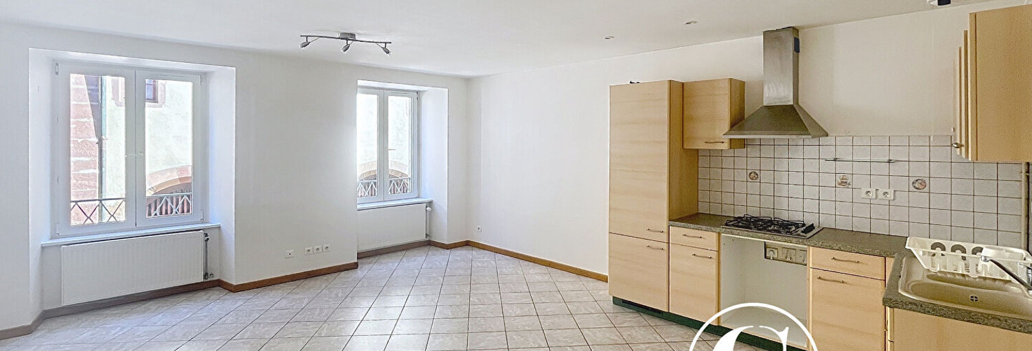 Appartement 2 Pièces 41 m² à louer à Thann (68800)