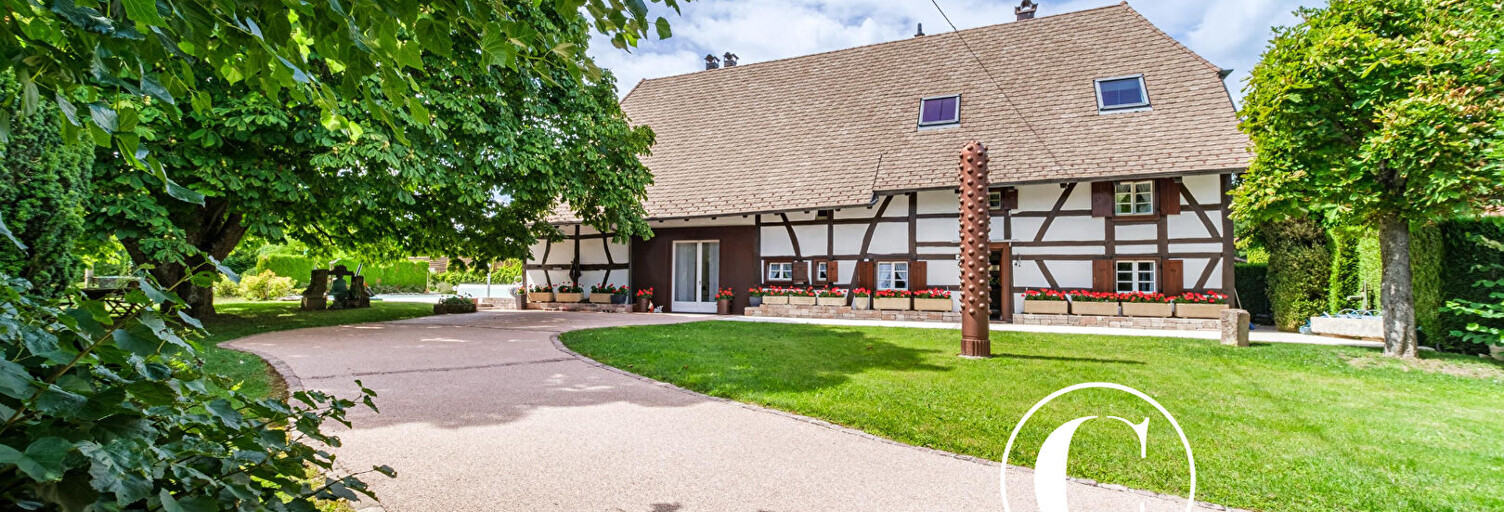 Maison 9 Pièces 308 m² à vendre à Elbach (68210)