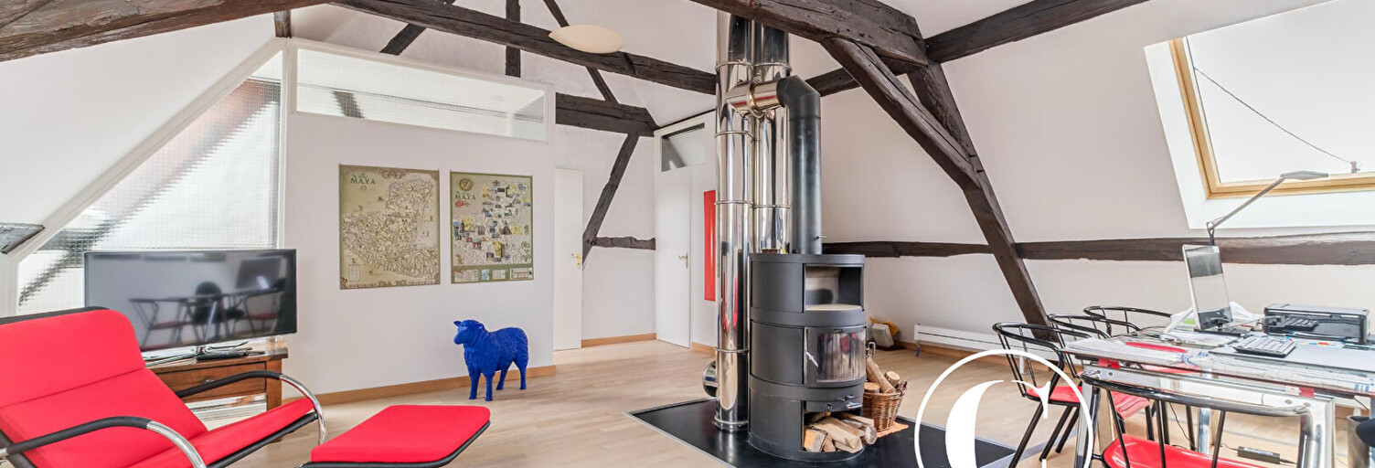 Maison 9 Pièces 308 m² à vendre à Elbach (68210)