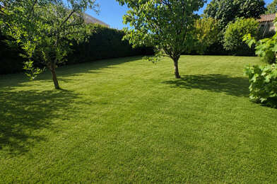Terrain  212000 €