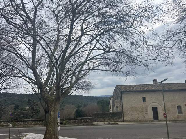 Uzès – Appartement T3, Quartier du Portalet — photo du bien