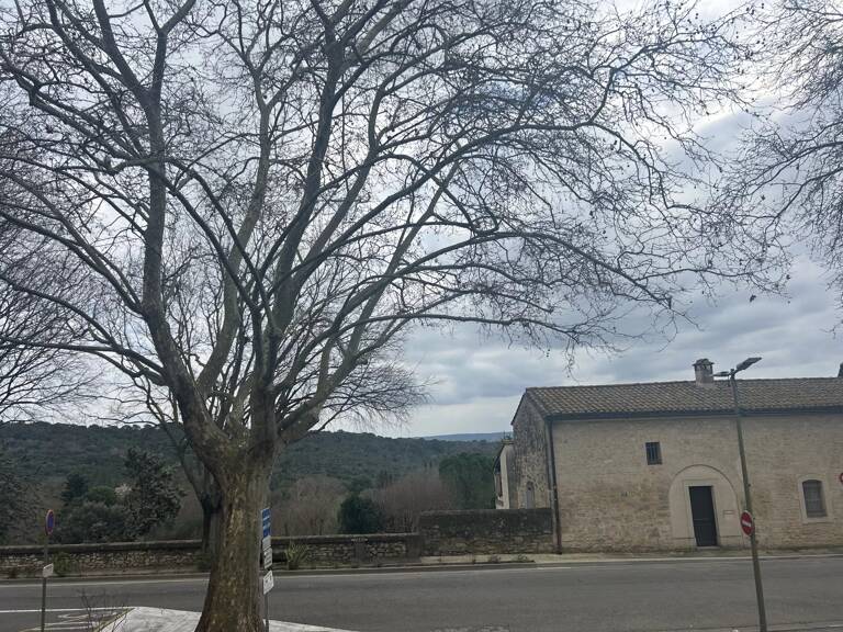 Uzès – Appartement T3, Quartier du Portalet — photo 1