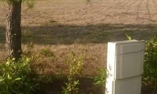 Terrain  230 m² à vendre à Toulenne (33210)