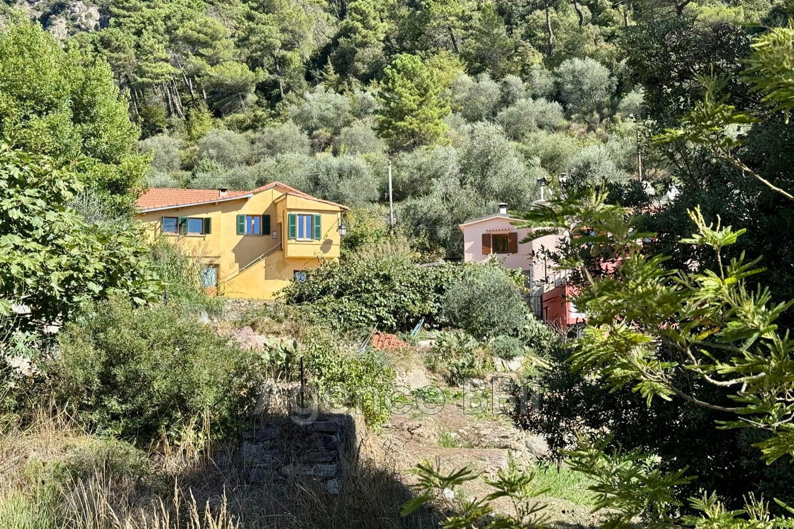 Villa / Maison  T4 à vendre Breil-sur-Roya 06540