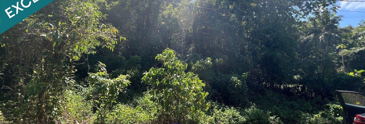 Terrain  3450 m² à vendre à Le Gosier (97190)