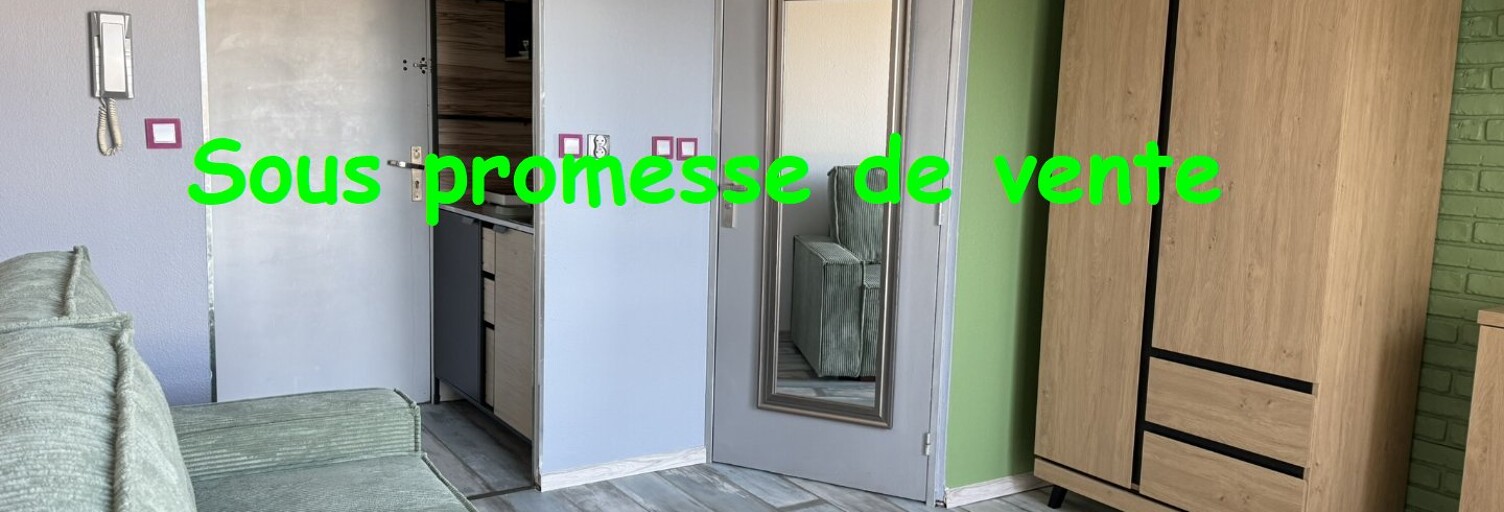 Appartement 1 Pièce 18 m² à vendre à Orléans (45100)