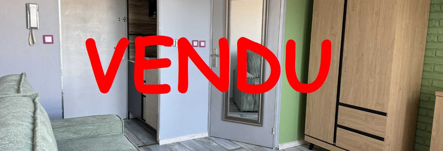 Appartement 1 Pièce 18 m² à vendre à Orléans (45100)