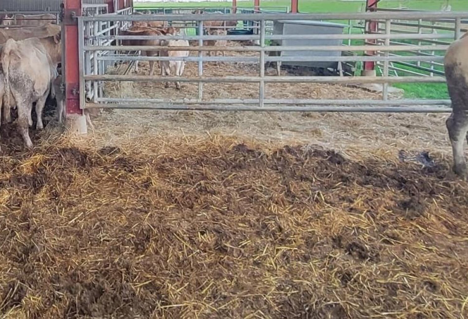 Exploitation agricole 18 ha stabulation de 1247 m² — photo 1