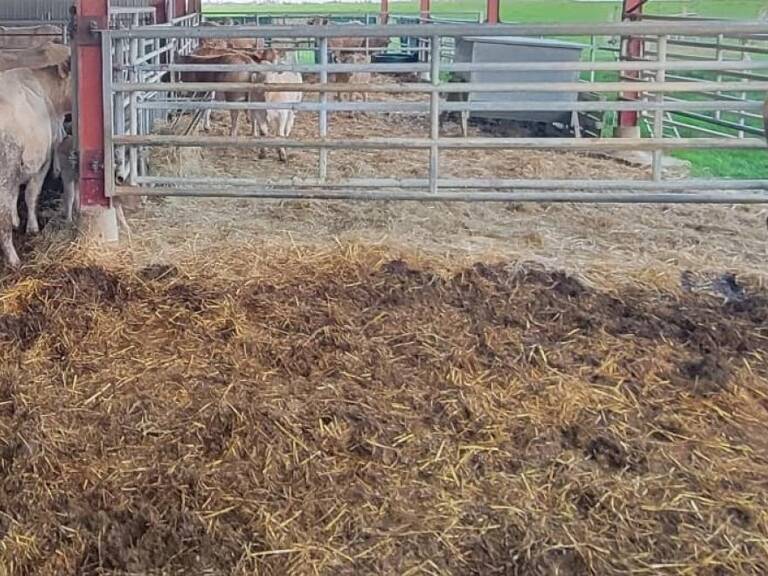 Exploitation agricole 18 ha stabulation de 1247 m² — photo 1
