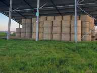 Exploitation agricole 18 ha stabulation de 1247 m² — photo 3